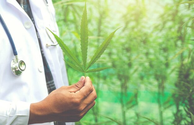 The emergence of Cannabis and its health benefits