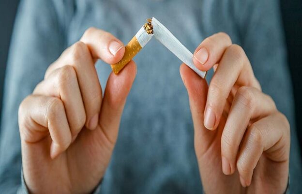 Native Smokes vs. Commercial Tobacco: Understanding the Differences